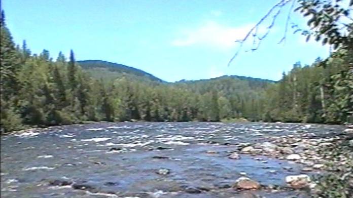 Река Кандат пасека 1997 год