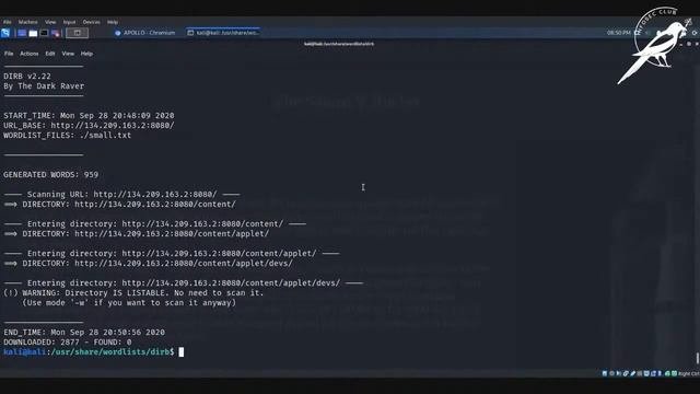 Beginner: Intro To Web Exploitation