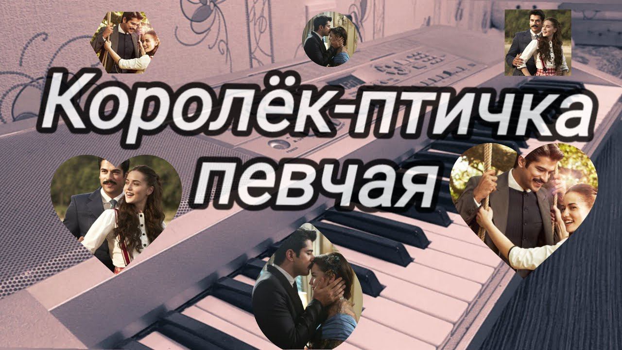 ÇalıkuşuКоролёк-птичка певчая на пианино