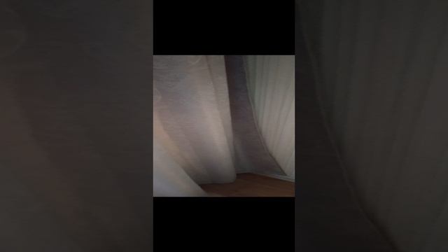 Завели домашнего питомца. #shorts