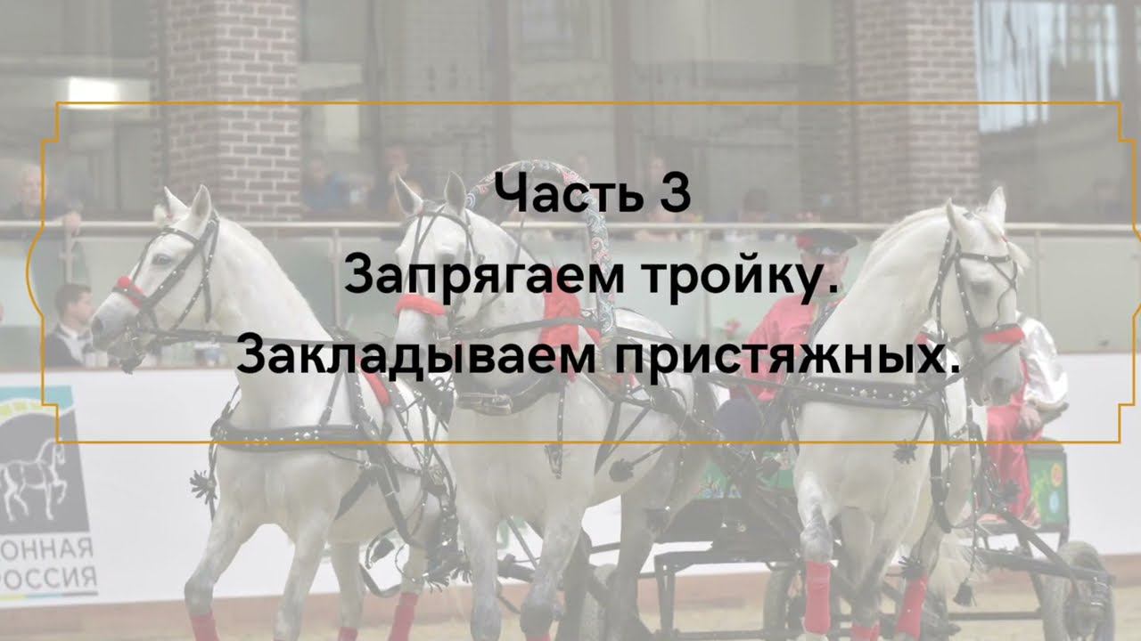 Русская экипажная езда и русская тройка. Выпуск 3