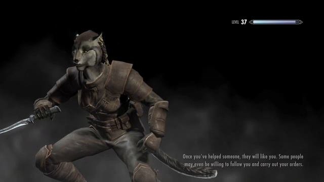 Brothers In Iron : Iron Plate Armour