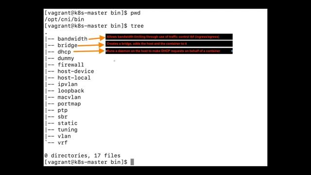 Container Network Interface (CNI) plugins for cluster networking.