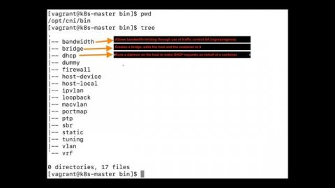 Container Network Interface (CNI) plugins for cluster networking.