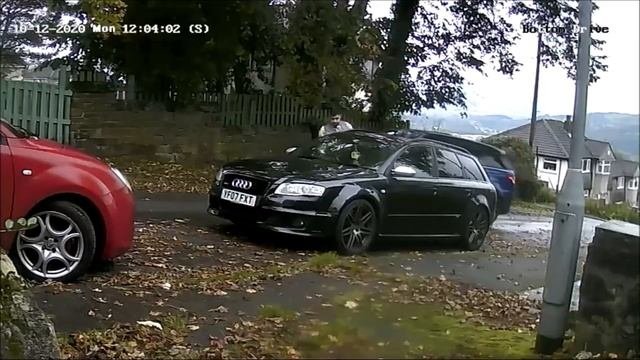 Litter bug