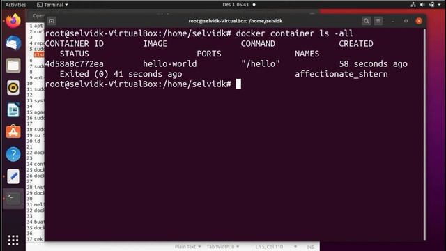 Instalasi Docker dan Create Container pada Ubuntu 18.04 | Selvi Dwi Kartika 193307060