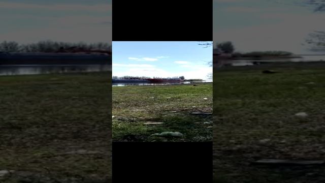 Пастбище