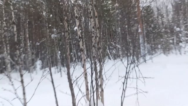 ПРОКАТИЛСЯ НА ДИНГО Т 150