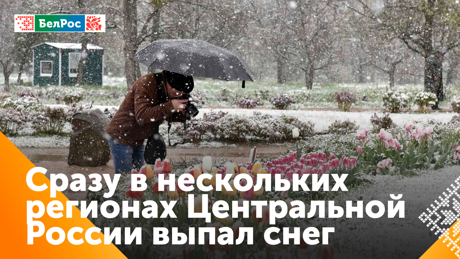 В Москве и регионах Центральной России выпал снег
