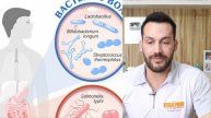 COMO MELHORAR A MICROBIOTA INTESTINAL - Fisioprev