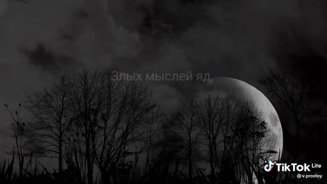 14 ноября 2022 г.
