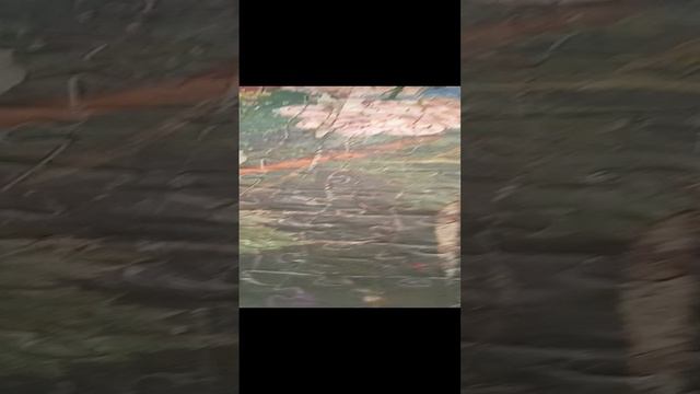 VID_20240907_140834.mp4