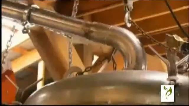 Gaultheria Procumbens Wintergreen Essential Oil Producer