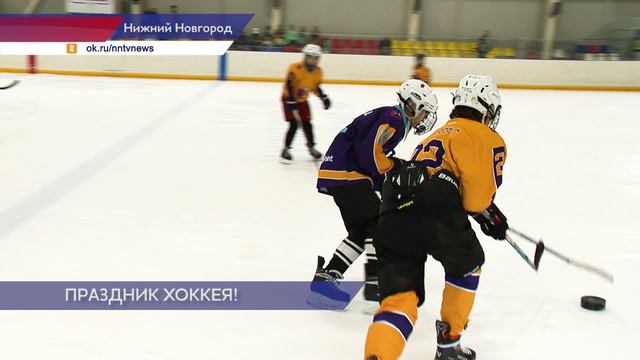 Кубок главы Нижнего Новгорода по адаптивному хоккею завершился