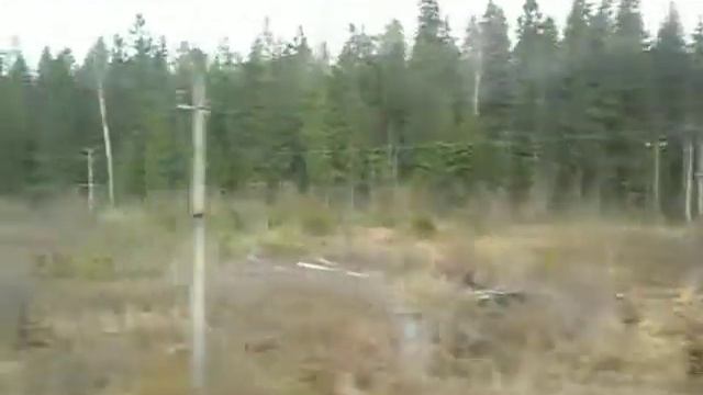 29-04-2018 виды из окна вагона-ресторана