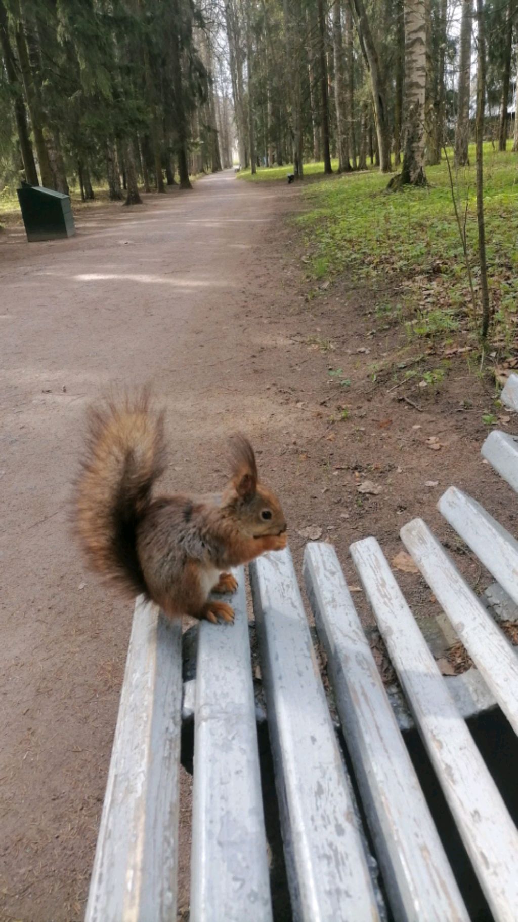 Ролик про еду