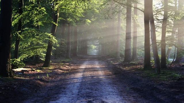 Ambient music for relaxation | Эмбиент - музыка для расслабления