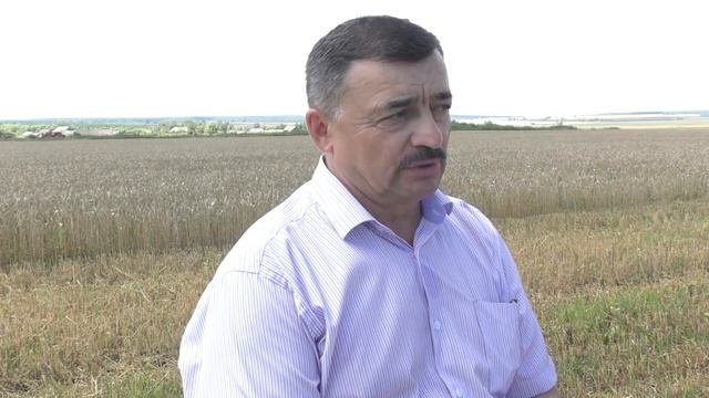 Уборочная страда в Кузоватовском районе началась в агротехнические сроки