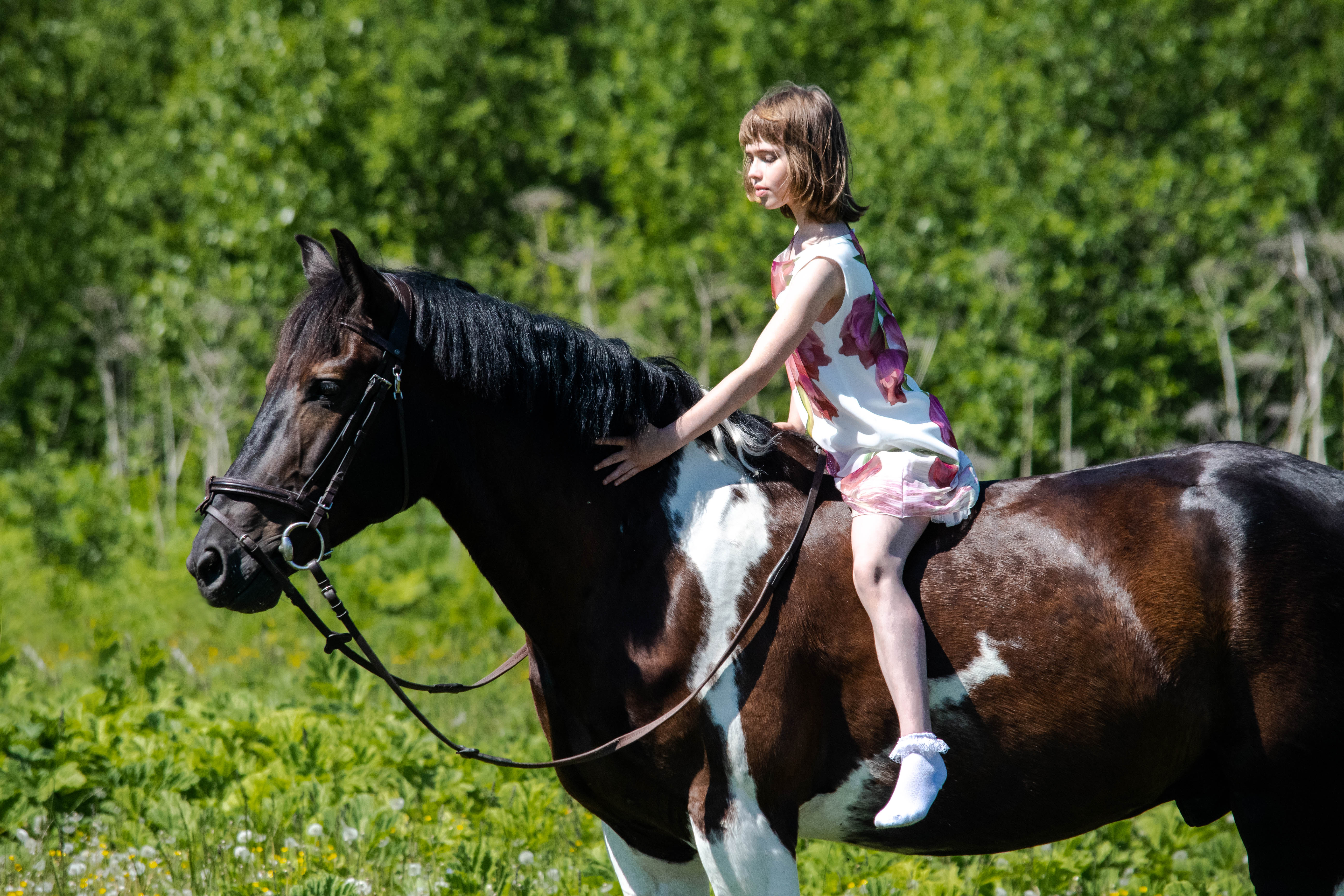 30.05.2024 г. соревнования в ФКС Пермского края🔥💯💥🐴🐎