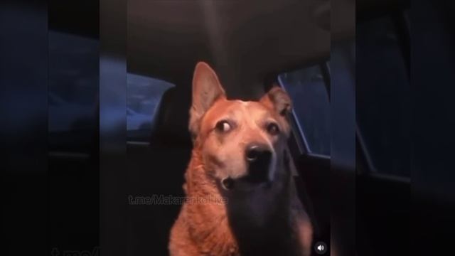 сабакин в шоке...