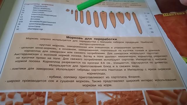 Как можно весомо заработать на простых корнеплодах(морковь, свекла, редька)?