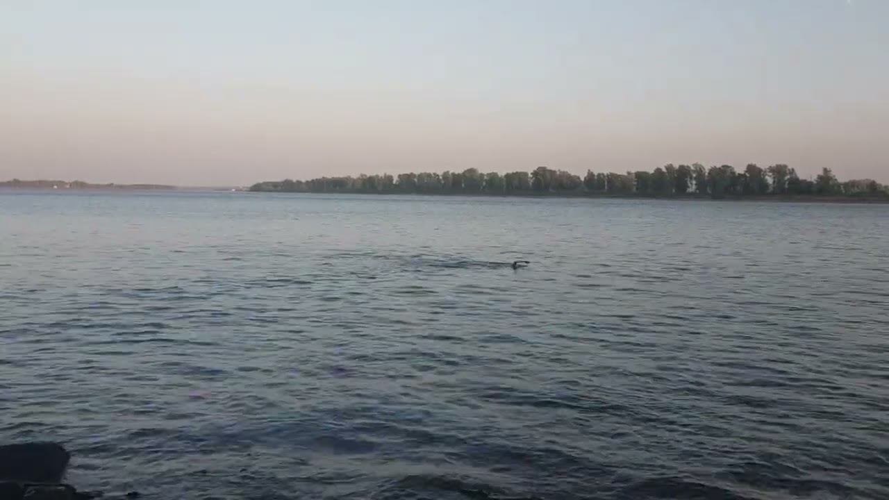 27 июля 2023 г.