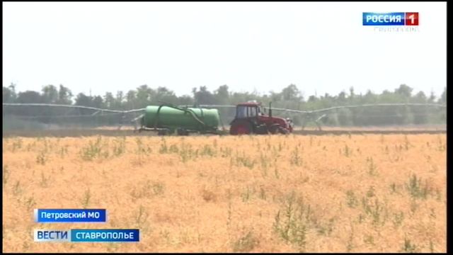 У ставропольских аграриев горячая пора. На какой урожай рассчитывают