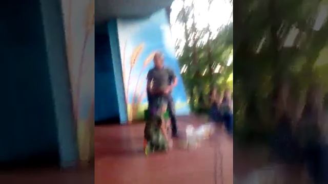 Показательные выступления РУКОПАШНИКОВ.