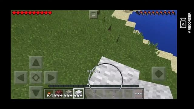 Я призвал  Лукаса в Minecraft