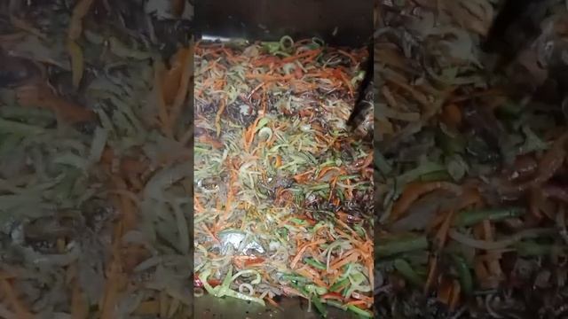 кухня . Стир Фрай из говядины             stir-fry with beef.