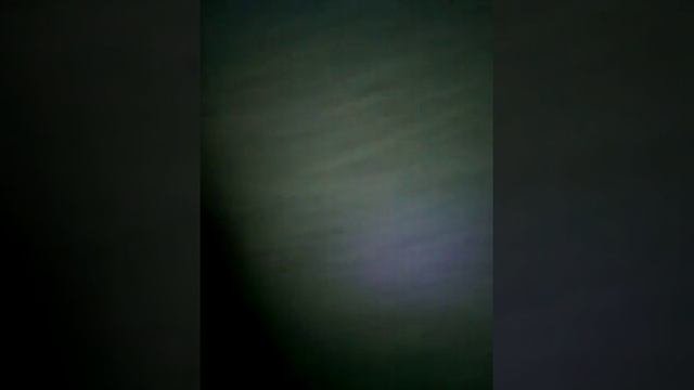 Суп из хлеба и апельсина!