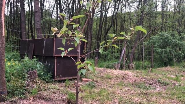 сербия ОПАСНОСТИ ЖИЗНИ В СЕЛЕ