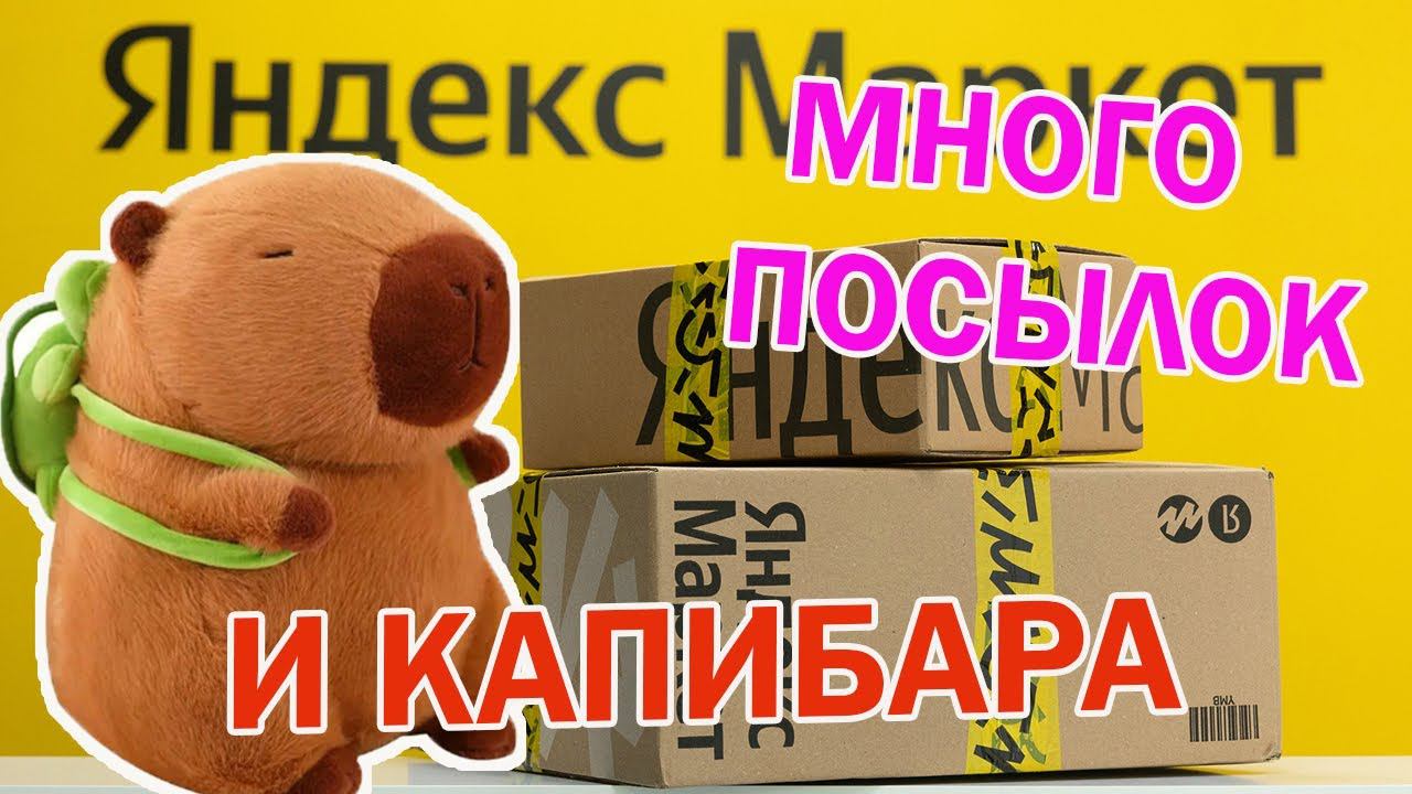КУЧА ПОСЫЛОК С Яндекс Маркет И КАПИБАРА! РАСПАКОВКА