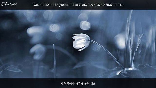 [Rus.Sub_Рус.Суб] Mingginyu (밍기뉴) - Flowering (개화) (開花)