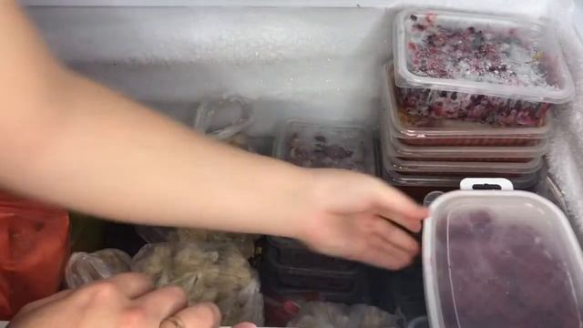 Қысқа дайындық. Заморозка овощей.