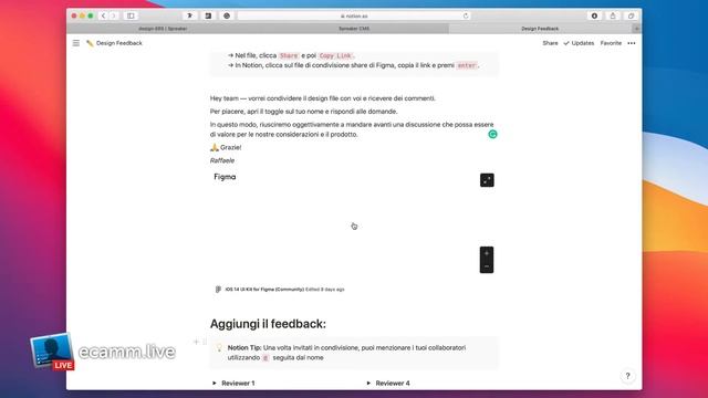 Design Feedback di Figma con Notion