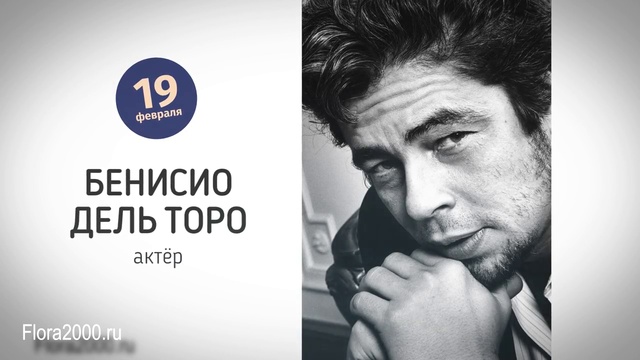 Знаменитости, рожденные в феврале. Дни рождения звезд в феврале