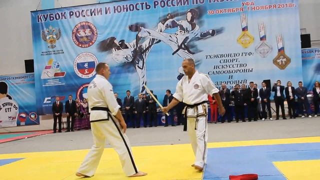 Тхэквондо 2018 Уфа