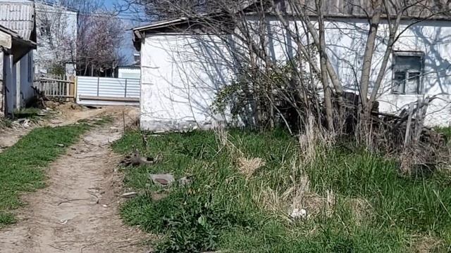 Участок земли 27 соток под индивидуальное жилищное строительство