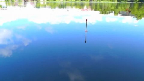 Поклевки окуньков на поплавочную удочку. Рыбалка на озере Карасун, Краснодар. Fishing angeln câu cá