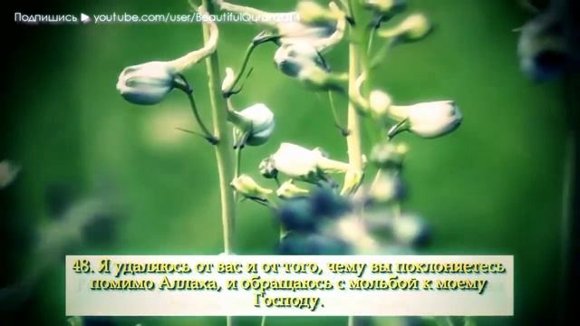 Коран перед сном. Забудите свои проблемы и переживания. И ваша душа расслабиться.