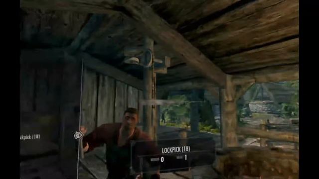 LEO plays Skyrim VR day by day  Day 366  The fish can totally escape