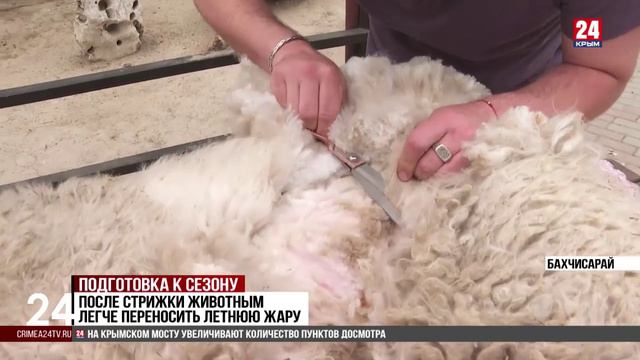 В зоопарке Бахчисарая начали подготовку летнему сезону