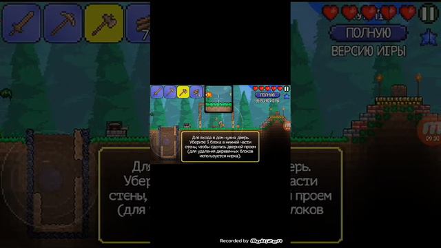 Обзор на игру Terraria бесплатная версия.