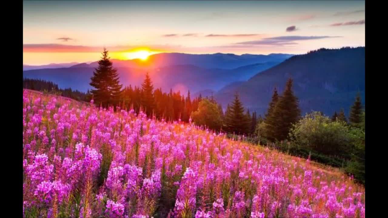 тест хсплит