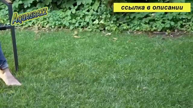 как посеять газонную траву
