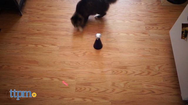 Automatic Laser Cat Toy from Eyenimal