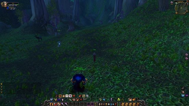 Raene's Cleansing 3/11 WoW Classic Quest