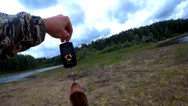 ВОТ ЭТО РЫБАЛКА! ПОПАЛИ НА КЛЕВ ЩУКИ