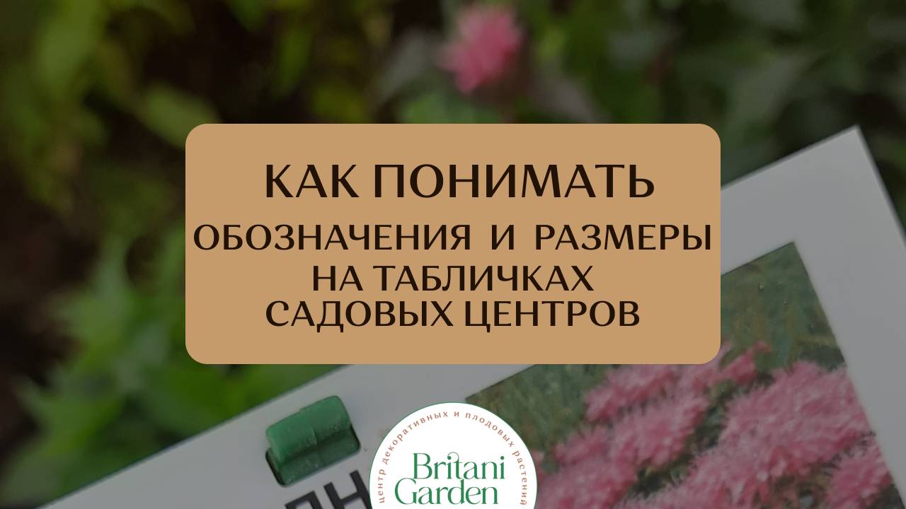 Как научиться понимать размеры и обозначения в садовых центрах на ценниках?